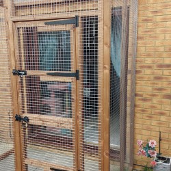 The Skytrail Shelter – 6ft x 4ft x 9ft Tall Outdoor Catio